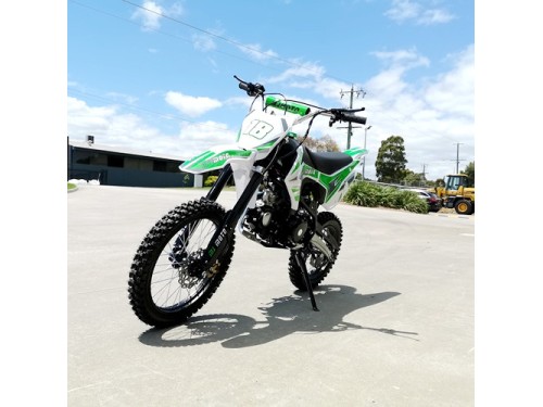 125CC DIRT BIKE PIT MOTOR TRAIL MOTOCROSS DINGO PRO ELECTRIC START 14/17 BIG WHEEL GREEN