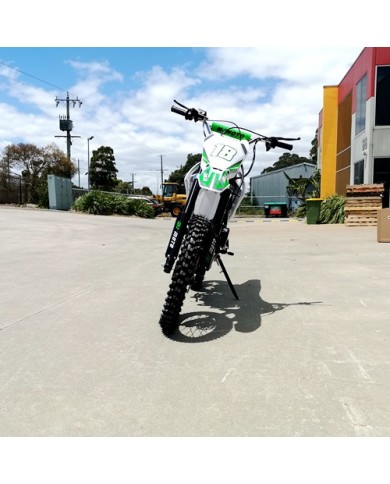 125CC DIRT BIKE PIT MOTOR TRAIL MOTOCROSS DINGO PRO ELECTRIC START 14/17 BIG WHEEL GREEN 125CC DIRT BIKE PIT MOTOR TRAIL MOTOCROSS DINGO PRO ELECTRIC START 14/17 BIG WHEEL GREEN