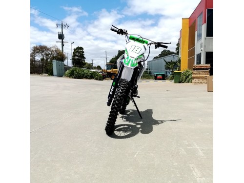 125CC DIRT BIKE PIT MOTOR TRAIL MOTOCROSS DINGO PRO ELECTRIC START 14/17 BIG WHEEL GREEN