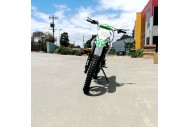 125CC DIRT BIKE PIT MOTOR TRAIL MOTOCROSS DINGO PRO ELECTRIC START 14/17 BIG WHEEL GREEN