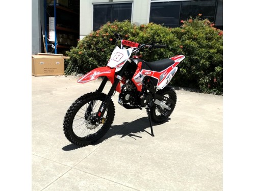 125CC PIT MOTOR DIRT BIKE TRAIL MOTOCROSS PRO ELECTRIC START 14/17 BIG WHEEL RED 125CC PIT MOTOR DIRT BIKE TRAIL MOTOCROSS PRO ELECTRIC START 14/17 BIG WHEEL RED