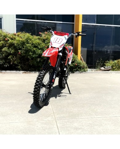 125CC PIT MOTOR DIRT BIKE TRAIL MOTOCROSS PRO ELECTRIC START 14/17 BIG WHEEL RED 125CC PIT MOTOR DIRT BIKE TRAIL MOTOCROSS PRO ELECTRIC START 14/17 BIG WHEEL RED