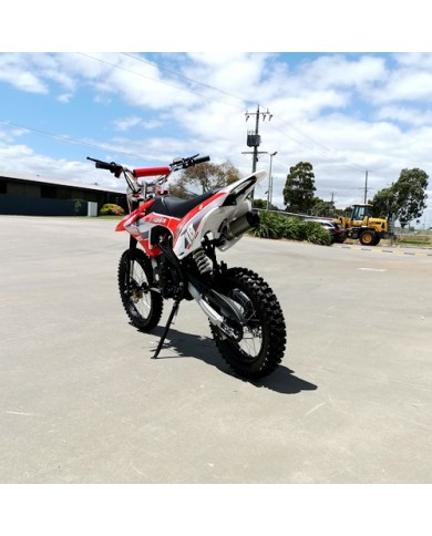 125CC PIT MOTOR DIRT BIKE TRAIL MOTOCROSS PRO ELECTRIC START 14/17 BIG WHEEL RED 125CC PIT MOTOR DIRT BIKE TRAIL MOTOCROSS PRO ELECTRIC START 14/17 BIG WHEEL RED