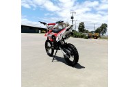 125CC PIT MOTOR DIRT BIKE TRAIL MOTOCROSS PRO ELECTRIC START 14/17 BIG WHEEL RED 125CC PIT MOTOR DIRT BIKE TRAIL MOTOCROSS PRO ELECTRIC START 14/17 BIG WHEEL RED