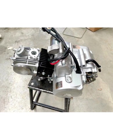 125cc 1+1 Semi Auto + Reverse Engine Motor PIT QUAD DIRT BIKE ATV DUNE BUGGY