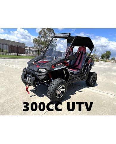 300CC UTV Challenger Dune Buggy Go kart Off Road Water Cool 2 Seater Auto Diff