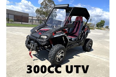 300CC UTV Challenger Dune Buggy Go kart Off Road Water Cool 2 Seater Auto Diff 300CC UTV Challenger Dune Buggy Go kart Off Road Water Cool 2 Seater Auto Diff