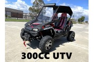 300CC UTV Challenger Dune Buggy Go kart Off Road Water Cool 2 Seater Auto Diff 300CC UTV Challenger Dune Buggy Go kart Off Road Water Cool 2 Seater Auto Diff