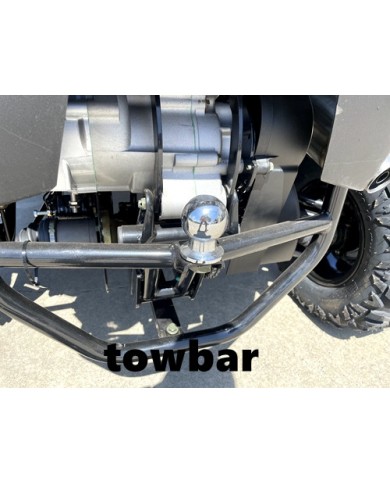 300CC UTV Challenger Dune Buggy Go kart Off Road Water Cool 2 Seater Auto Diff 300CC UTV Challenger Dune Buggy Go kart Off Road Water Cool 2 Seater Auto Diff