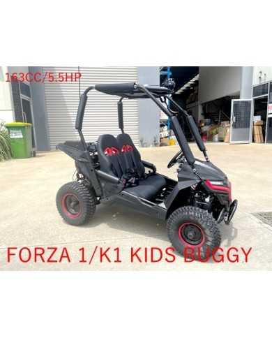 FORZA1 K1 Dune Buggy 163CC 5.5HP Off Road UTV ATV 2 Seater 4 Wheel Go kart REV