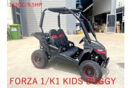 FORZA1 K1 Dune Buggy 163CC 5.5HP Off Road UTV ATV 2 Seater 4 Wheel Go kart REV
