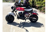 MB200 TrailMaster Hurricane 200X Mini Bike Coleman Full sized Kids Adults Bike RED
