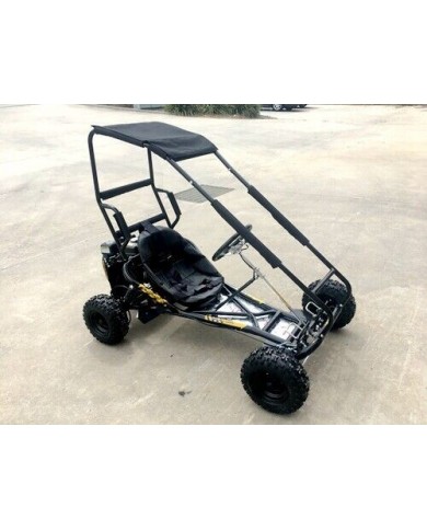 200cc 6.5HP Go Kart Wet Clutch Dune Buggy ATV Quad 4 Stroke Adult/Teen/Kid Sizes  BLUE