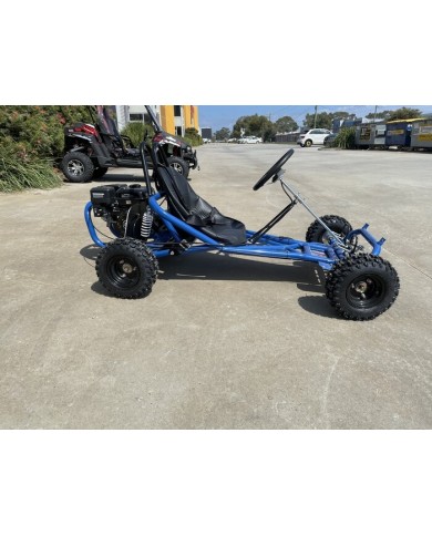 200cc 6.5HP Go Kart Wet Clutch Dune Buggy ATV Quad 4 Stroke Adult/Teen/Kid Sizes  BLUE