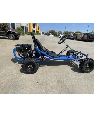 200cc 6.5HP Go Kart Wet Clutch Dune Buggy ATV Quad 4 Stroke Adult/Teen/Kid Sizes  BLUE