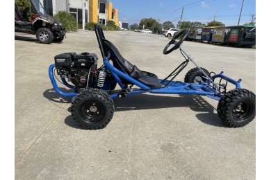 200cc 6.5HP Go Kart Wet Clutch Dune Buggy ATV Quad 4 Stroke Adult/Teen/Kid Sizes  BLUE 200cc 6.5HP Go Kart Wet Clutch Dune Buggy ATV Quad 4 Stroke Adult/Teen/Kid Sizes  BLUE