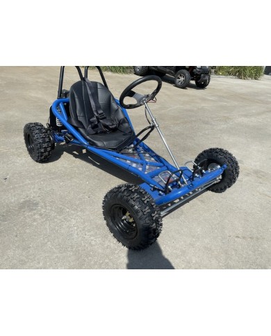 200cc 6.5HP Go Kart Wet Clutch Dune Buggy ATV Quad 4 Stroke Adult/Teen/Kid Sizes  BLUE