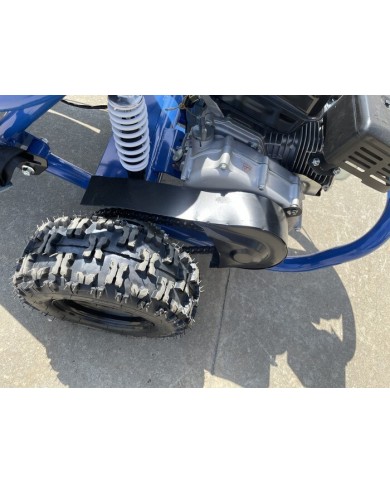 200cc 6.5HP Go Kart Wet Clutch Dune Buggy ATV Quad 4 Stroke Adult/Teen/Kid Sizes  BLUE