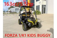 FORZA 1 K1 Dune Buggy 163CC 5.5HP Off Road UTV ATV 2 Seater 4 Wheel Go kart REV Yellow