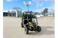 FORZA 1 K1 Dune Buggy 163CC 5.5HP Off Road UTV ATV 2 Seater 4 Wheel Go kart REV Yellow