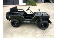 2017 150cc Mini Willy Jeep Replica 2WD Semi Auto Golf Cart Twin Seat Kids Adults 2017 150cc Mini Willy Jeep Replica 2WD Semi Auto Golf Cart Twin Seat Kids Adults