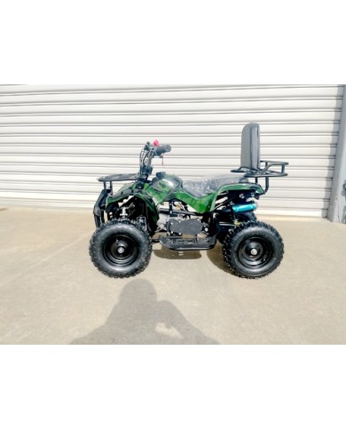 WILDFORCE49 49CC FARM QUAD BIKE ATV BUGGY KIDS 4 WHEELER HUASHENG 2-STROKE MJ MOTORGREEN WILDFORCE49 49CC FARM QUAD BIKE ATV BUGGY KIDS 4 WHEELER HUASHENG 2-STROKE MJ MOTORGREEN