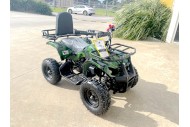 WILDFORCE49 49CC FARM QUAD BIKE ATV BUGGY KIDS 4 WHEELER HUASHENG 2-STROKE MJ MOTORGREEN