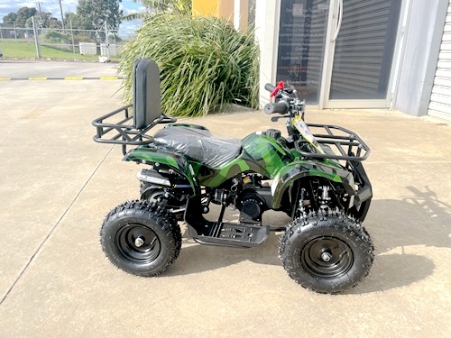 WILDFORCE49 49CC FARM QUAD BIKE ATV BUGGY KIDS 4 WHEELER HUASHENG 2-STROKE MJ MOTORGREEN