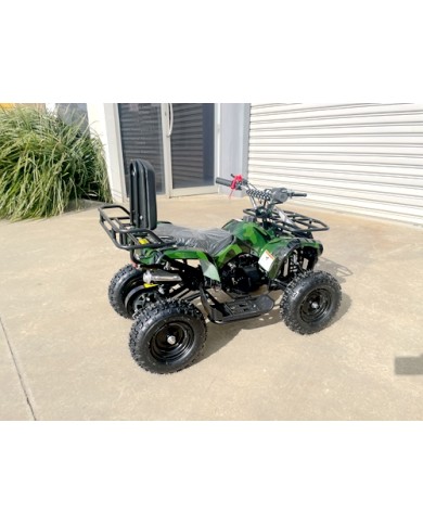 WILDFORCE49 49CC FARM QUAD BIKE ATV BUGGY KIDS 4 WHEELER HUASHENG 2-STROKE MJ MOTORGREEN WILDFORCE49 49CC FARM QUAD BIKE ATV BUGGY KIDS 4 WHEELER HUASHENG 2-STROKE MJ MOTORGREEN