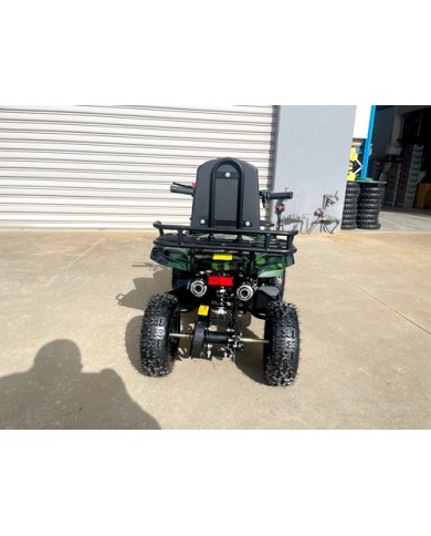 WILDFORCE49 49CC FARM QUAD BIKE ATV BUGGY KIDS 4 WHEELER HUASHENG 2-STROKE MJ MOTORGREEN WILDFORCE49 49CC FARM QUAD BIKE ATV BUGGY KIDS 4 WHEELER HUASHENG 2-STROKE MJ MOTORGREEN