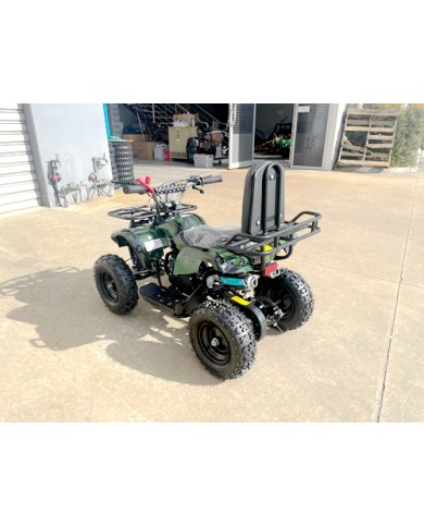 WILDFORCE49 49CC FARM QUAD BIKE ATV BUGGY KIDS 4 WHEELER HUASHENG 2-STROKE MJ MOTORGREEN WILDFORCE49 49CC FARM QUAD BIKE ATV BUGGY KIDS 4 WHEELER HUASHENG 2-STROKE MJ MOTORGREEN