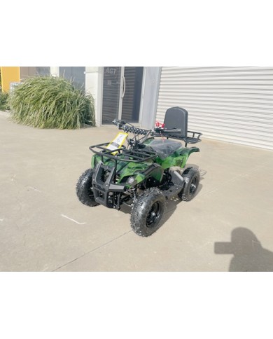 WILDFORCE49 49CC FARM QUAD BIKE ATV BUGGY KIDS 4 WHEELER HUASHENG 2-STROKE MJ MOTORGREEN WILDFORCE49 49CC FARM QUAD BIKE ATV BUGGY KIDS 4 WHEELER HUASHENG 2-STROKE MJ MOTORGREEN