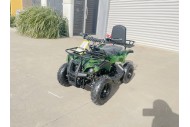 WILDFORCE49 49CC FARM QUAD BIKE ATV BUGGY KIDS 4 WHEELER HUASHENG 2-STROKE MJ MOTORGREEN