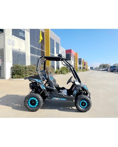 FORZA 1 K1 Dune Buggy 163CC 5.5HP Off Road UTV ATV 2 Seater 4 Wheel Go kart REV BLUE