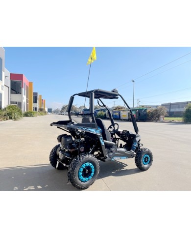 FORZA 1 K1 Dune Buggy 163CC 5.5HP Off Road UTV ATV 2 Seater 4 Wheel Go kart REV BLUE