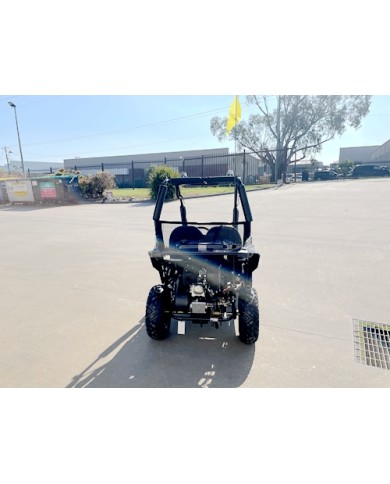 FORZA 1 K1 Dune Buggy 163CC 5.5HP Off Road UTV ATV 2 Seater 4 Wheel Go kart REV BLUE