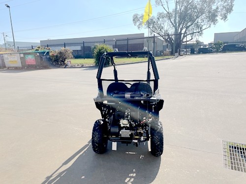 FORZA 1 K1 Dune Buggy 163CC 5.5HP Off Road UTV ATV 2 Seater 4 Wheel Go kart REV BLUE