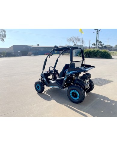 FORZA 1 K1 Dune Buggy 163CC 5.5HP Off Road UTV ATV 2 Seater 4 Wheel Go kart REV BLUE