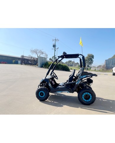 FORZA 1 K1 Dune Buggy 163CC 5.5HP Off Road UTV ATV 2 Seater 4 Wheel Go kart REV BLUE
