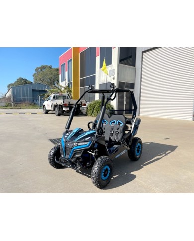 FORZA 1 K1 Dune Buggy 163CC 5.5HP Off Road UTV ATV 2 Seater 4 Wheel Go kart REV BLUE