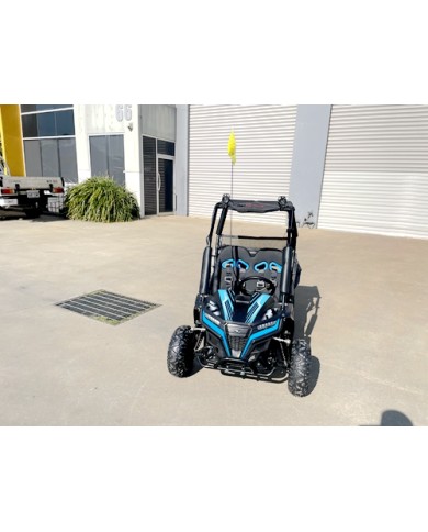 FORZA 1 K1 Dune Buggy 163CC 5.5HP Off Road UTV ATV 2 Seater 4 Wheel Go kart REV BLUE