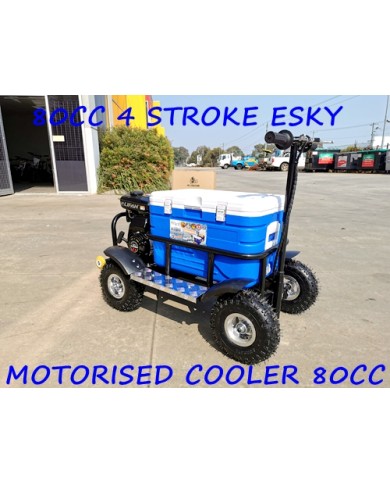 4.10- 4" 4 Inch Wheel Rim+Tyre Tire ESKY Mini Quad Bike ATV Buggy 15mm with 6mm keyway 4.10- 4" 4 Inch Wheel Rim+Tyre Tire ESKY Mini Quad Bike ATV Buggy 15mm with 6mm keyway