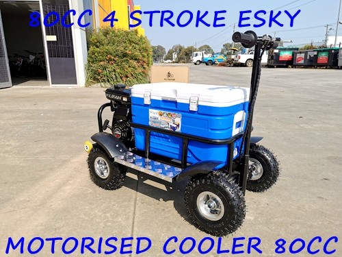 4.10- 4" 4 Inch Wheel Rim+Tyre Tire ESKY Mini Quad Bike ATV Buggy 15mm with 6mm keyway