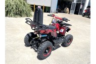 49cc Mini Farm Quad Bike, ATV Buggy Kids, 4 Wheeler Pocket, Pit Dirt Bike in Red 49cc Mini Farm Quad Bike, ATV Buggy Kids, 4 Wheeler Pocket, Pit Dirt Bike in Red