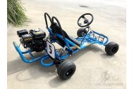 2017 200CC 6.5HP Drift Trike Go Kart Dune Buggy Quad 4 Stroke Upgraded Sleeves 2017 200CC 6.5HP Drift Trike Go Kart Dune Buggy Quad 4 Stroke Upgraded Sleeves