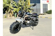 MB200X TrailMaster Hurricane Mini Bike Coleman Full sized REC-REG E-start BLACK