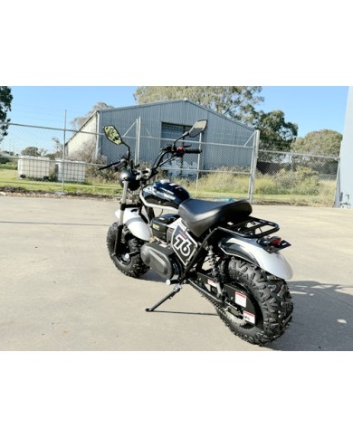 MB200X TrailMaster Hurricane Mini Bike Coleman Full sized REC-REG E-start BLACK MB200X TrailMaster Hurricane Mini Bike Coleman Full sized REC-REG E-start BLACK