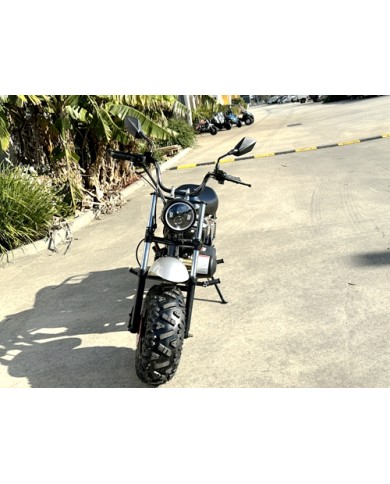 MB200X TrailMaster Hurricane Mini Bike Coleman Full sized REC-REG E-start BLACK MB200X TrailMaster Hurricane Mini Bike Coleman Full sized REC-REG E-start BLACK