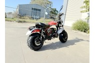 MB200X TrailMaster Hurricane Mini Bike Coleman Full sized REC-REG E-start RED