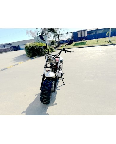 MB200X TrailMaster Hurricane Mini Bike Coleman Full sized REC-REG E-start RED MB200X TrailMaster Hurricane Mini Bike Coleman Full sized REC-REG E-start RED